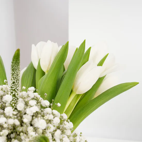 Little Pink Freesia Flower Earrings | White Blooms