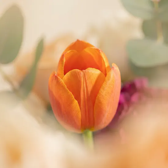Colorful Flowers Vase