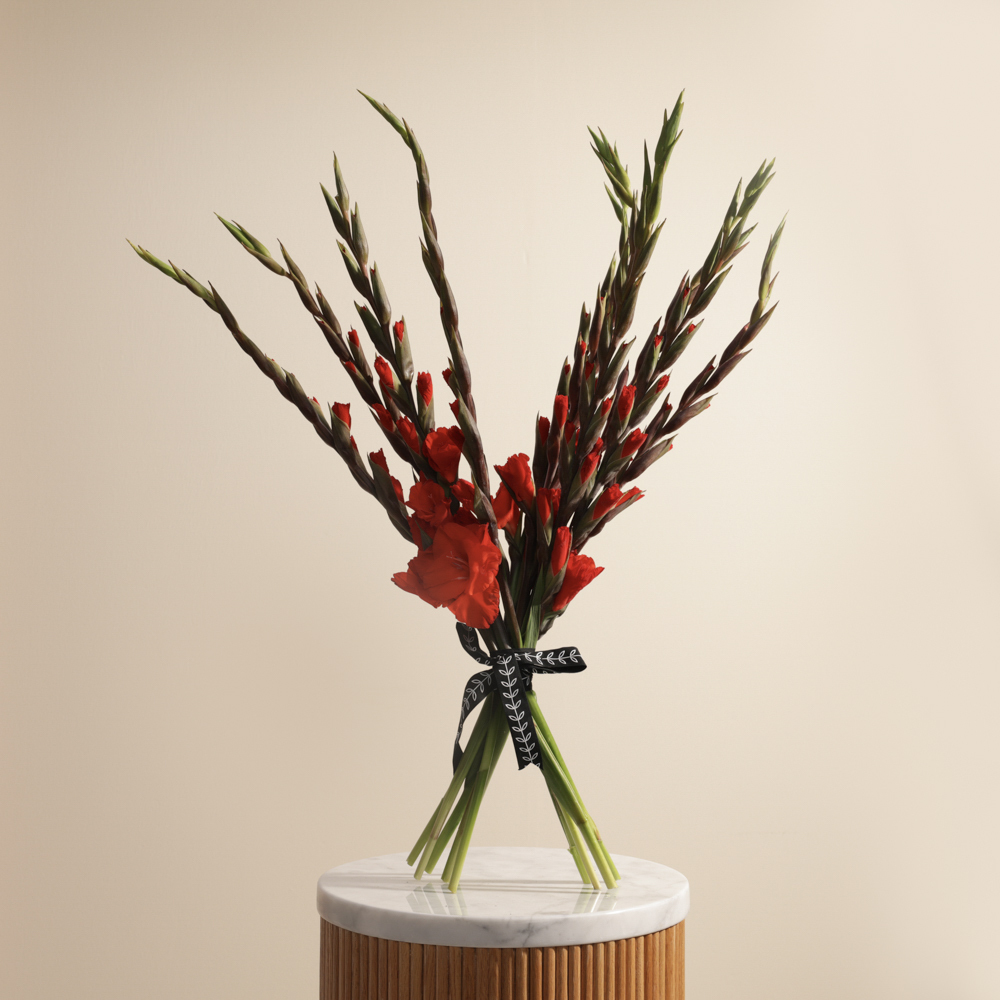 باقه زهور حمراء