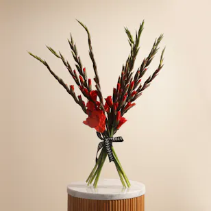 Red Flowers Bouquet Red Flowers Bouquet