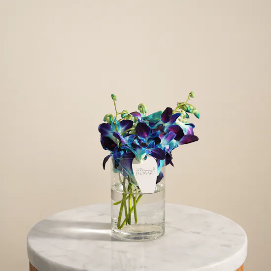 Shiny Baby Orchid Vase | 5 Flowers