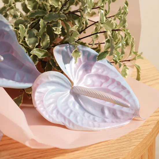 Jarir Bookstore Stationery Set | Delicate Flowers
