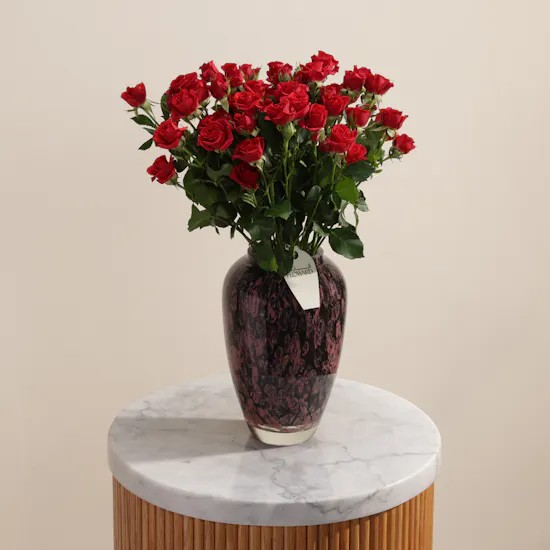 Crimson Promise Red Baby Rose Vase