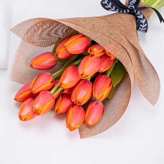 New Dawn | Orange Tulips.