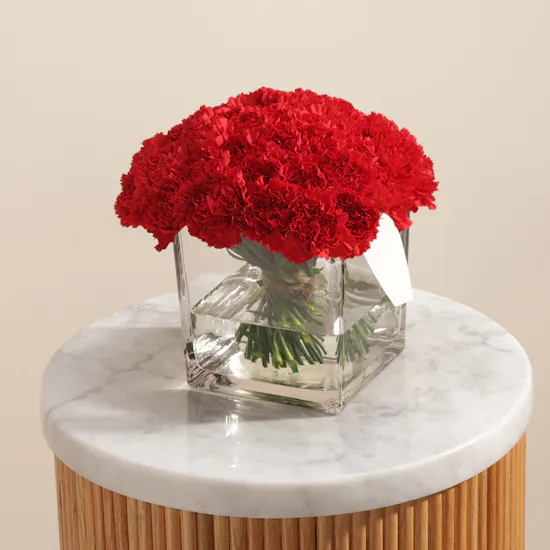 Romantic Red Carnations Vase