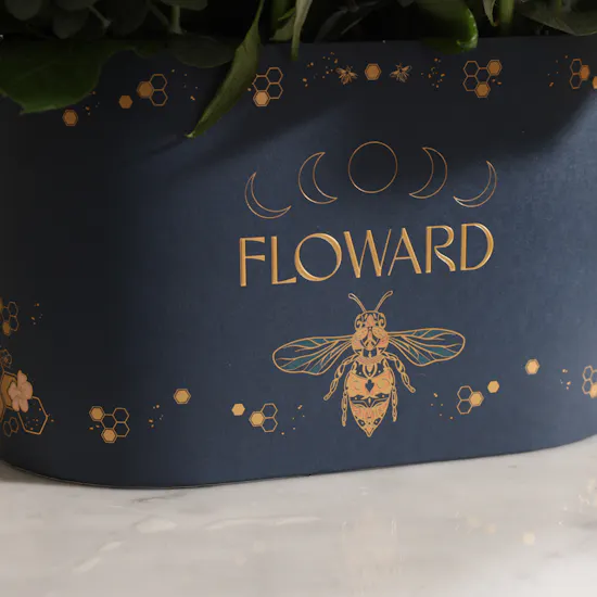Soft Whisper Roses Box