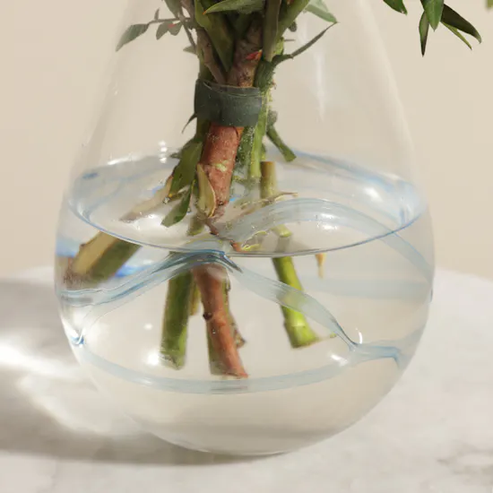 Radiant Romance Red Rose Vase