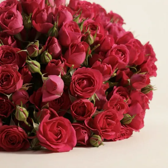 Delight Flowers Vase | 35 Flowers