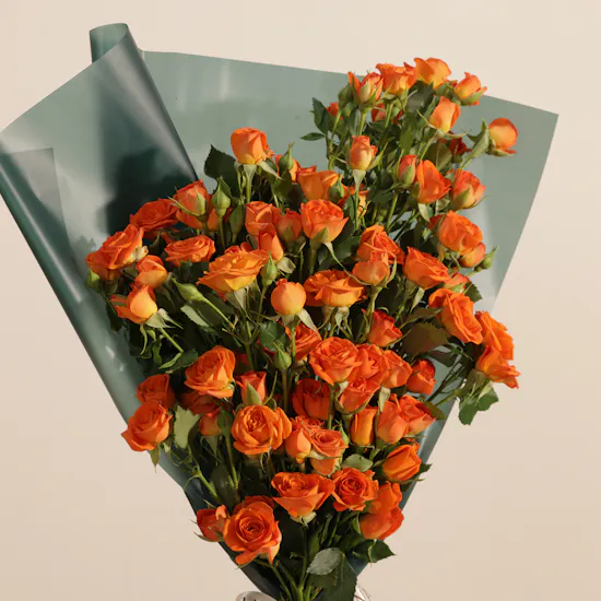 Calm Elevated Orange Baby Rose Bouquet | 15 Flowers