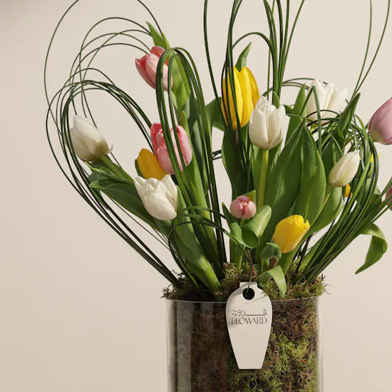Delight Tulips