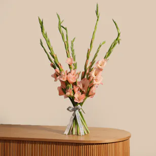 Sugar Babe Gladiolus Bouquet