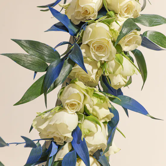 Cheerful Baby Rose White Hoop
