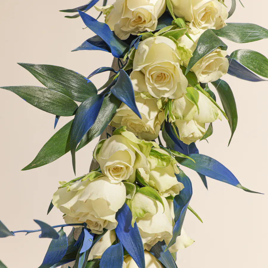 Cheerful Baby Rose White Hoop 5