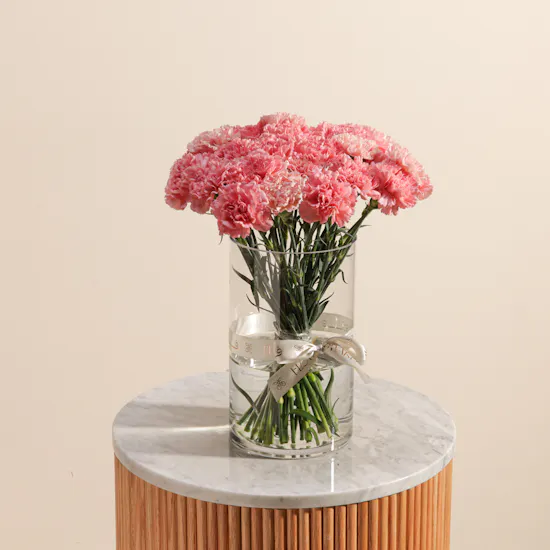 Elegant Pink Carnation Vase