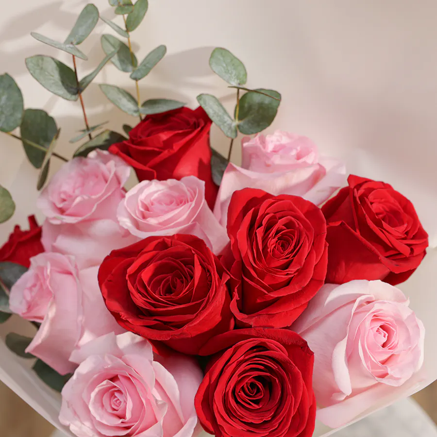 Captivating Red and Pink Roses Ensemble | 12 Flowers  5