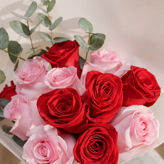 Captivating Red and Pink Roses Ensemble | 12 Flowers