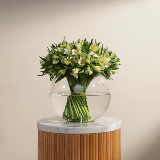 Pure Alstroemeria Vase
