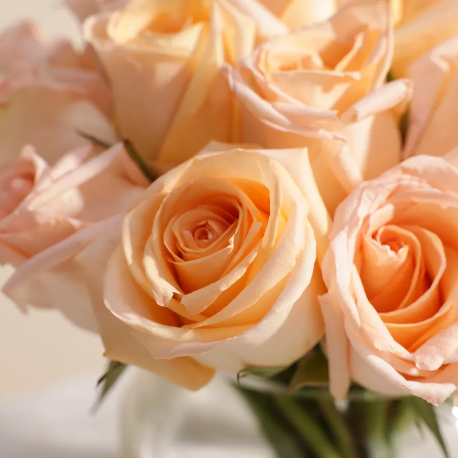 Graceful Peach Rose Vase | 25 Roses 5
