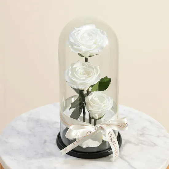 Cascading Preserved White Roses in a Glass Dome