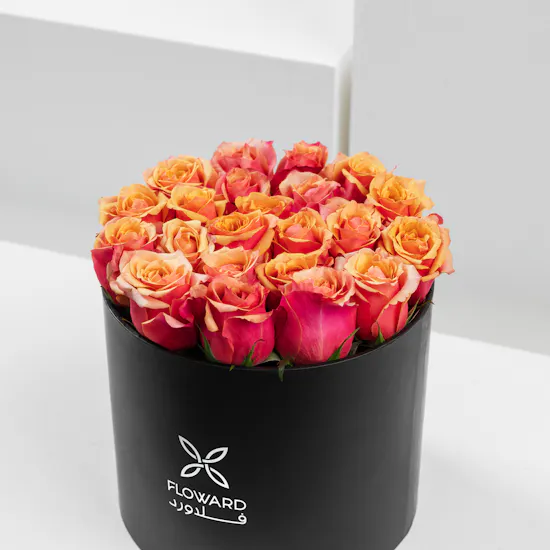 Warm Autumn | Roses