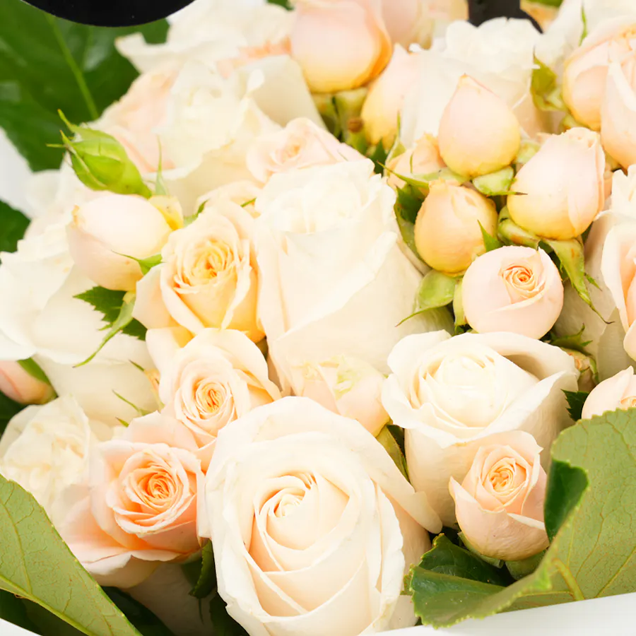White Wellness Roses | White Wrap  5