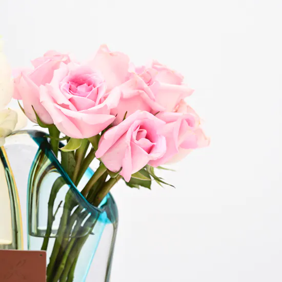 Dream's Vase