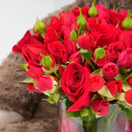 Koki Brown Bear | Red Vase