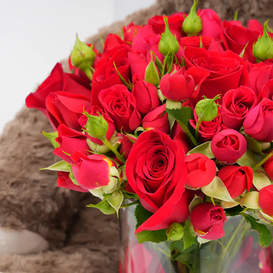Koki Brown Bear | Red Vase 4
