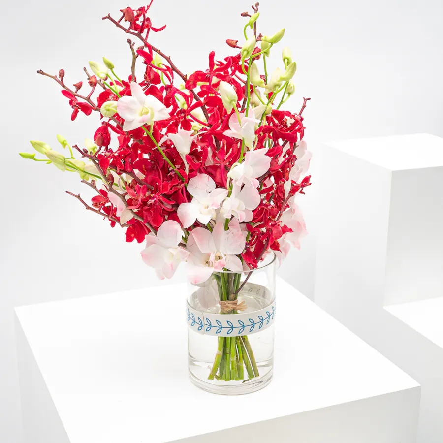 Munch Bakery Dream Cake | Orchid Vase 3
