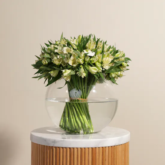 Pure Alstroemeria Vase