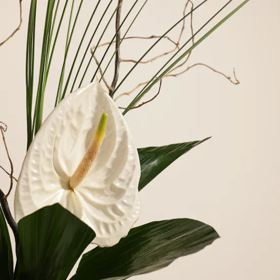 Elegant Happiness Flower Vase