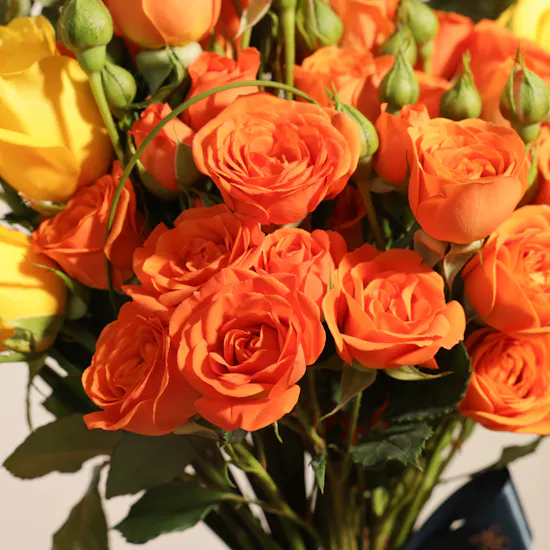 Anoosh Petite Chocolate Box | Delight Flowers Bouquet