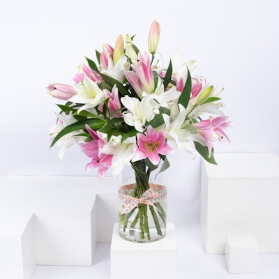 Love Lily | Cylinder Vase