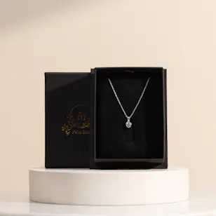 Felizmoda Moda Framed Stone Silver Necklace