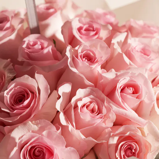 Abdul Samad Al Qurashi Viva La Rose Spray | Birthday Flowers Bouquet & Balloon