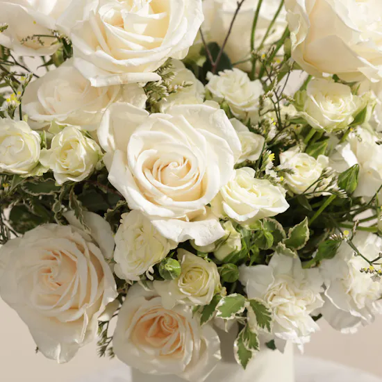 The Ivory Queen Flower Flower Box