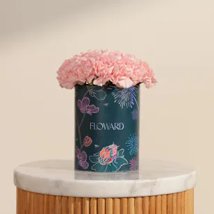 Soft Pink Carnation Box | 25 Flowers