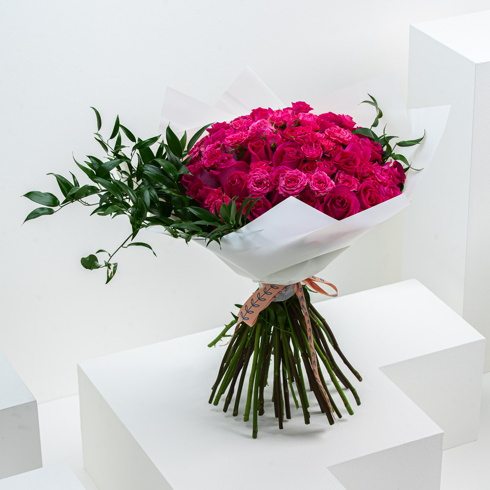 فوشيا  | 40 جورى