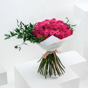 Fucshia | 40 Roses Fucshia | 40 Roses
