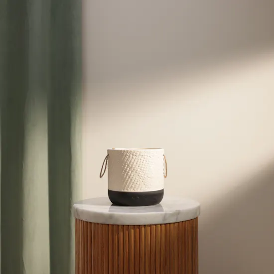 Floward Elegant White and Black Ceramic Vase