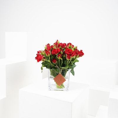 Medium Red Baby Roses Square Vase