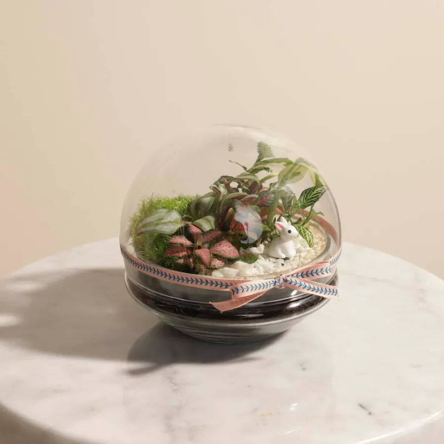 Tropical Dream | Closed Terrarium 4