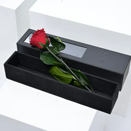 Preserved Red Rose | Black Box