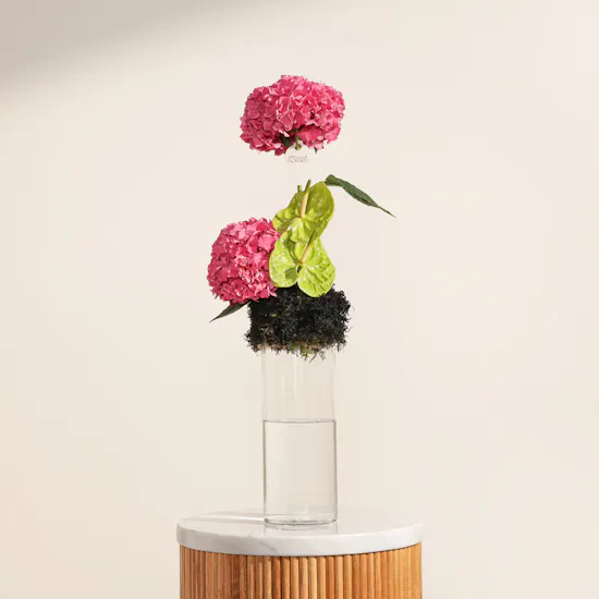 Elegant Hydrangea Vase