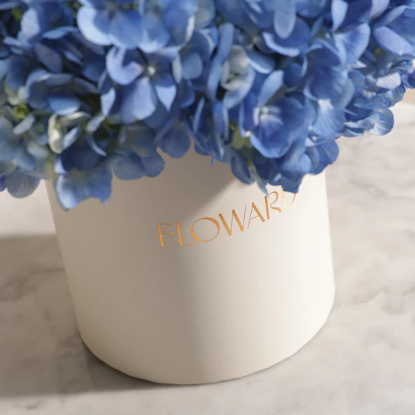 Graceful Blue Hydrangea Box | 6 Flowers