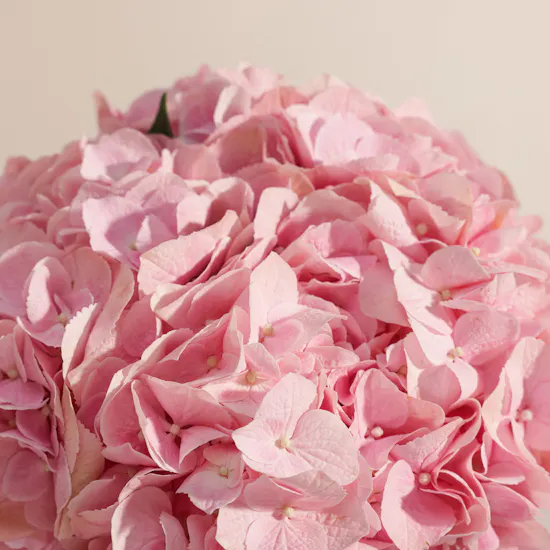 Lanai Perla Small Pink Candle | Pink Birthday Gift Balloon and Hydrangea Vase