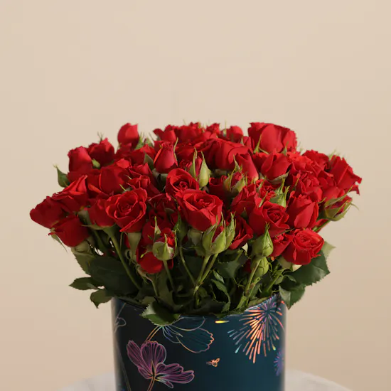 Charming Red Baby Rose Box | 25 Flowers