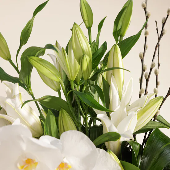 Radiant White Elegance Flower Vase