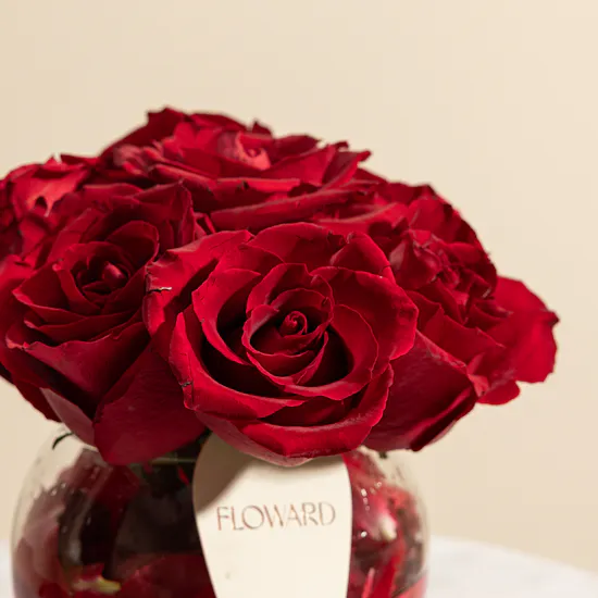 Romance Classic Red Roses Vase
