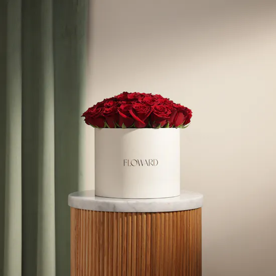 Romance Red Roses Box | 55 Flowers